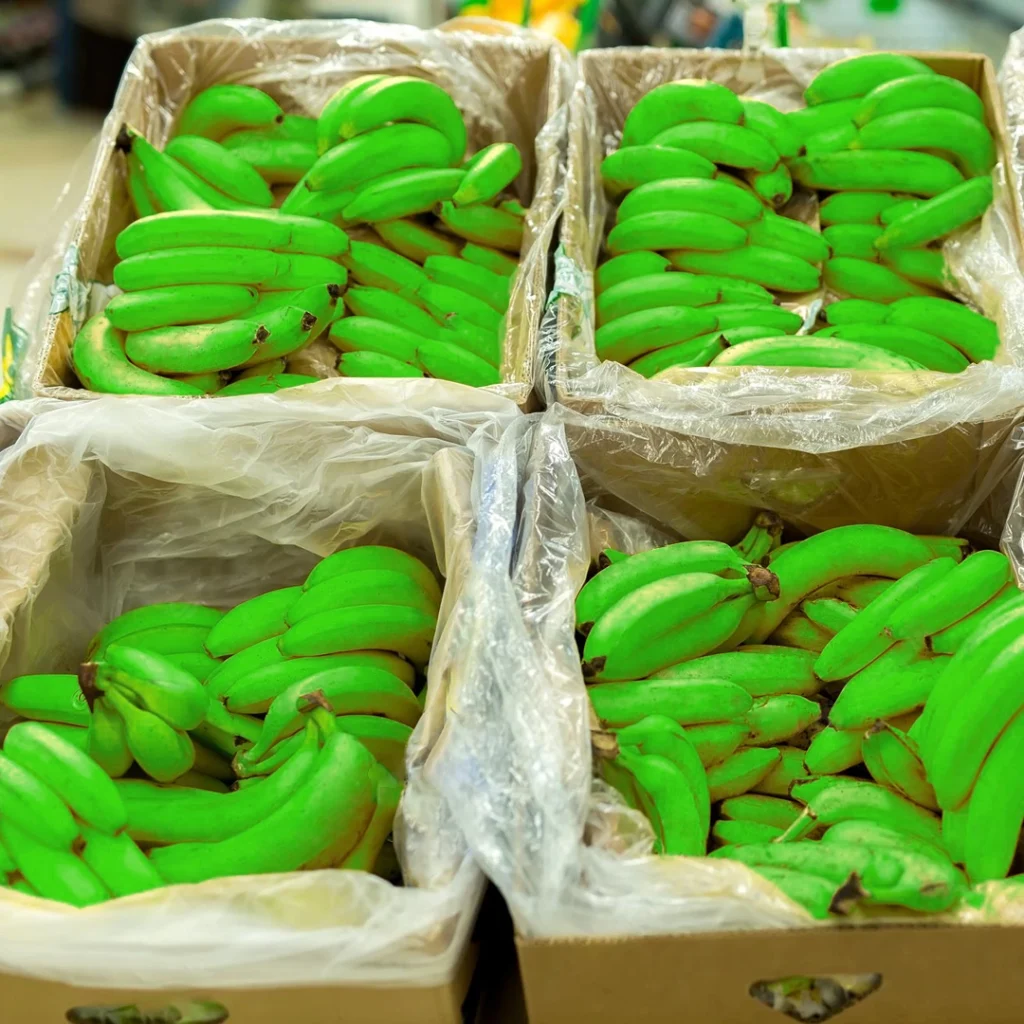 fundas plásticas en interior de caja de banano
